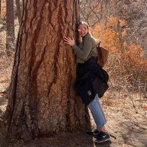 celine colbert|Community Forestry: TreeKeeper Canopy as a Tool .